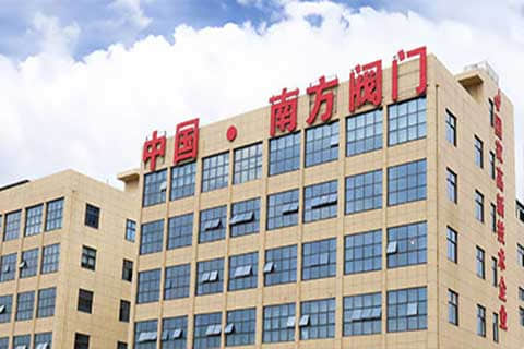 南方阀门集团外贸独立站建设与谷歌SEO/SEM推广